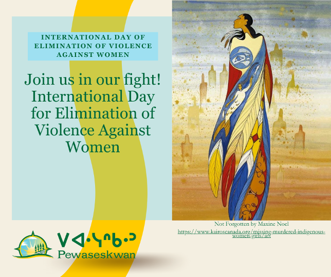 Poster for International Day of Elimination of Violence Against Women featuring Indigenous artwork by Maxine Noel